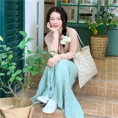 大使的宝藏家宴海报